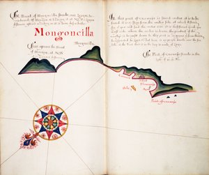 Mongoncilla