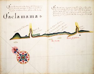 Taclamama by William Hack