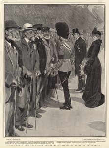 The Royal Tour, the Duke of Cornwall inspecting Veterans at Dunedin by William Hatherell