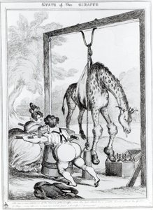 State of the Giraffe by William Heath