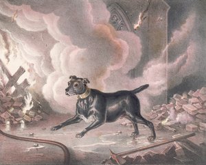 The London Fireman