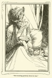 Illustration for Don Quixote by William Heath Robinson
