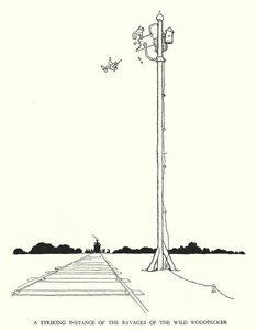 Illustration for Railway Ribaldry by William Heath Robinson