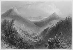 Glen of the Downs by William Henry (after) Bartlett