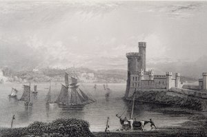 Black Rock Castle, near Cork, Ireland by William Henry Bartlett