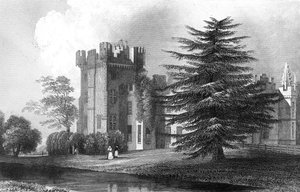 Faulkbourn Hall, near Whitham, Essex, engraved by Henry Wallis by William Henry Bartlett