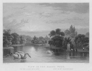 View in the Hague Wood by William Henry Bartlett