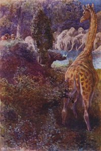 Illustration for The Gorilla Hunters by R M Ballantyne by William Henry Charles Groome