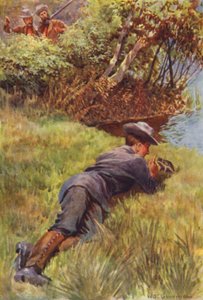 Illustration for The Gorilla Hunters by R M Ballantyne by William Henry Charles Groome