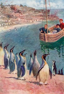 We gazed at the birds with surprise and pleasure, they returning our gaze with interest