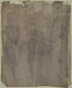 Botanical Specimen by William Henry Fox Talbot