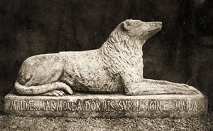 Statue of Maida, Reported to be Sir Walter Scott