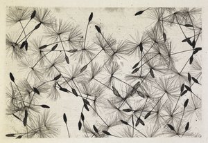 Talbot photo 24 1730 by William Henry Fox Talbot