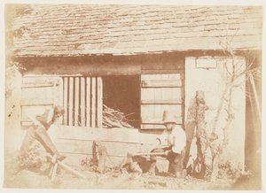 The Woodcutters