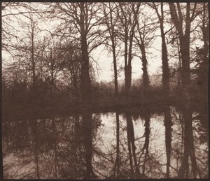 Winter Trees Reflected in a Pond