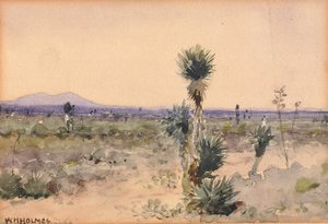 Yuccaland, Chihuahua, Mexico