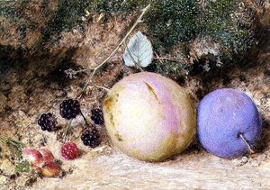 Rosehips, Blackberries and Plums