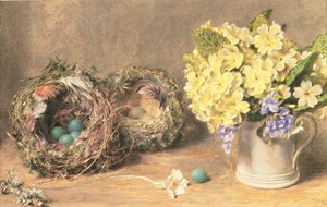 Spring Flowers and Birds