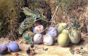 Still Life