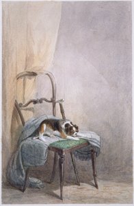 Study of a Dog on a Chair by William Henry Hunt