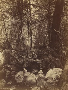 The Trail in West Gallatin Cañon by William Henry Jackson