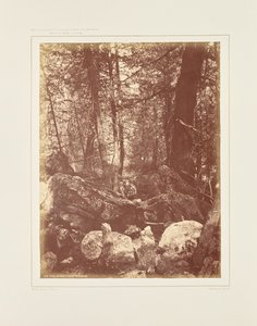 The Trail in the Woods, Gallatin Canyon by William Henry Jackson