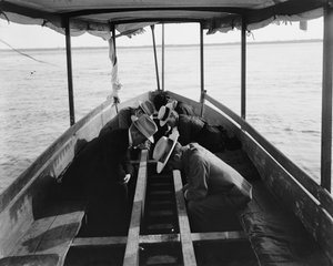Viewing the Marine Gardens through Bottom of Boat, Nassau, Bahamas