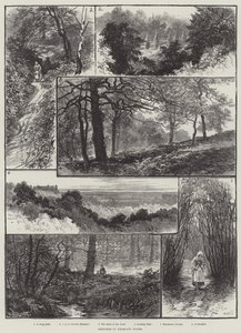 Sketches in Highgate Woods by William Henry James Boot