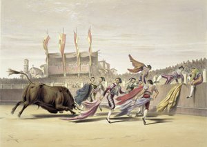 Chulos Playing the Bull