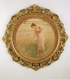 Flowers of the Field
