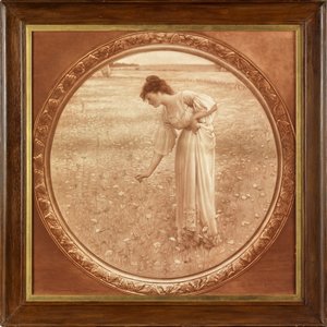 Flowers of the Field
