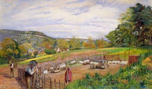 Mending the Sheep Pen