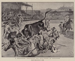 A Degrading Spectacle, the Bull-Fight at Boulogne