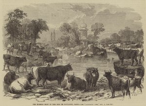 The Horned Host in the Bois de Boulogne, Paris