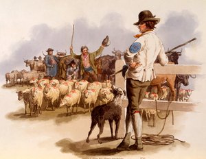 Smithfield Drover, from 