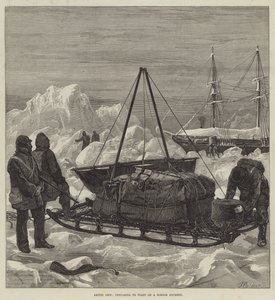 Arctic Life, preparing to start on a Sledge Journey