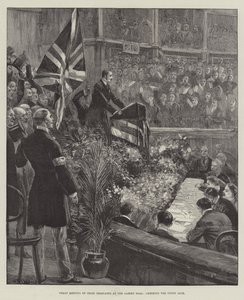 Great Meeting of Irish Delegates at the Albert Hall, cheering the Union Jack