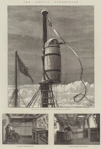 The Arctic Expedition