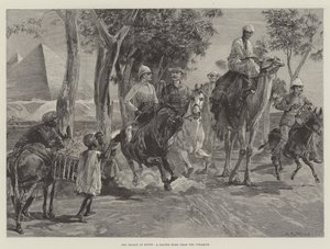 The Season in Egypt, a Canter Home from the Pyramids