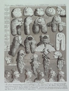 Advertisement for Wigs