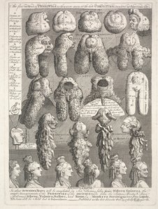 The Five Orders of the Perriwigs