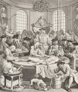 The Reward of Cruelty. From: The Four Stages of Cruelty. 1751 by William Hogarth