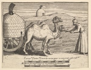 Two Dromedaries from Aubry de La Mottraye