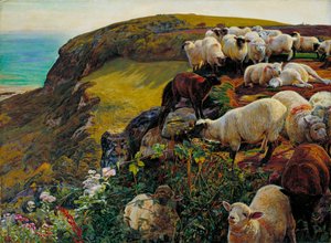 Our English Coasts by William Holman Hunt
