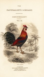 Titlepage with vignette of red junglefowl (Javan) by William Home Lizars