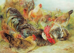 Poultry