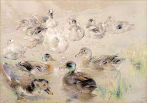 Study of Ducks by William Huggins