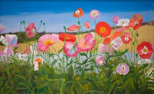 Poppies by William Ireland