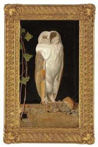 The White Owl by William J. Webbe or Webb