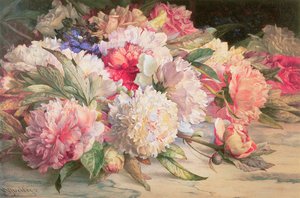 Peonies